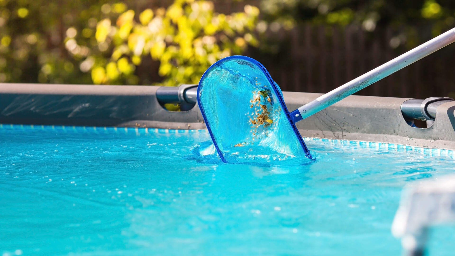 pool cleaning in mckinney texas by liquidus pools